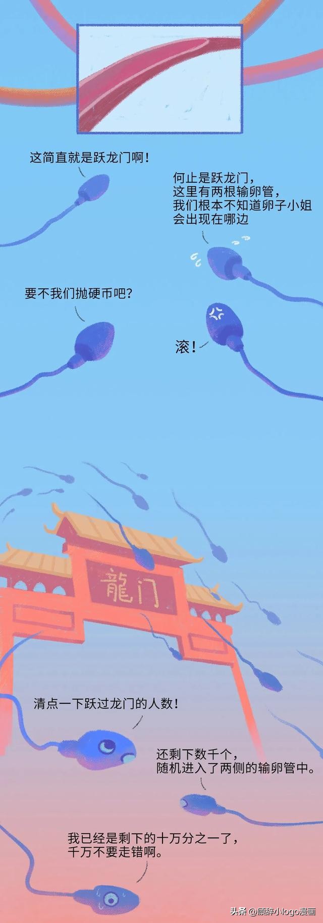 精子进入女生体内的24小时，都发生了些什么？太励志了！（漫画）