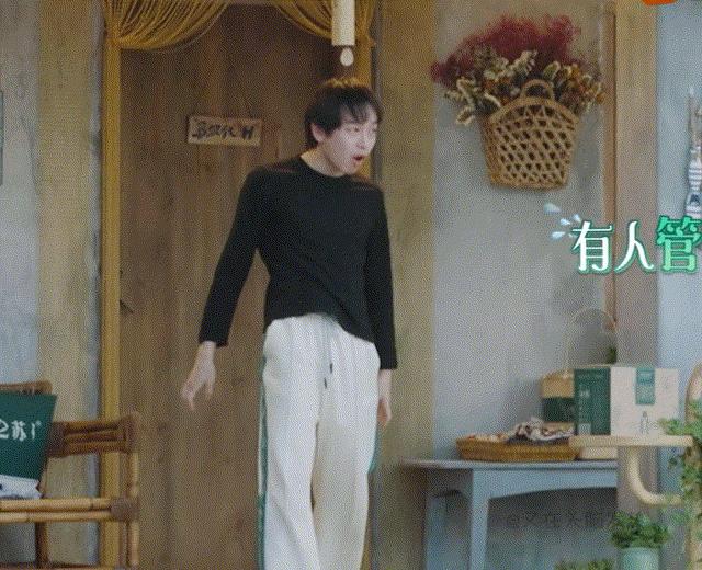 张若昀为什么不演法医2了,张若昀为什么不当侦探