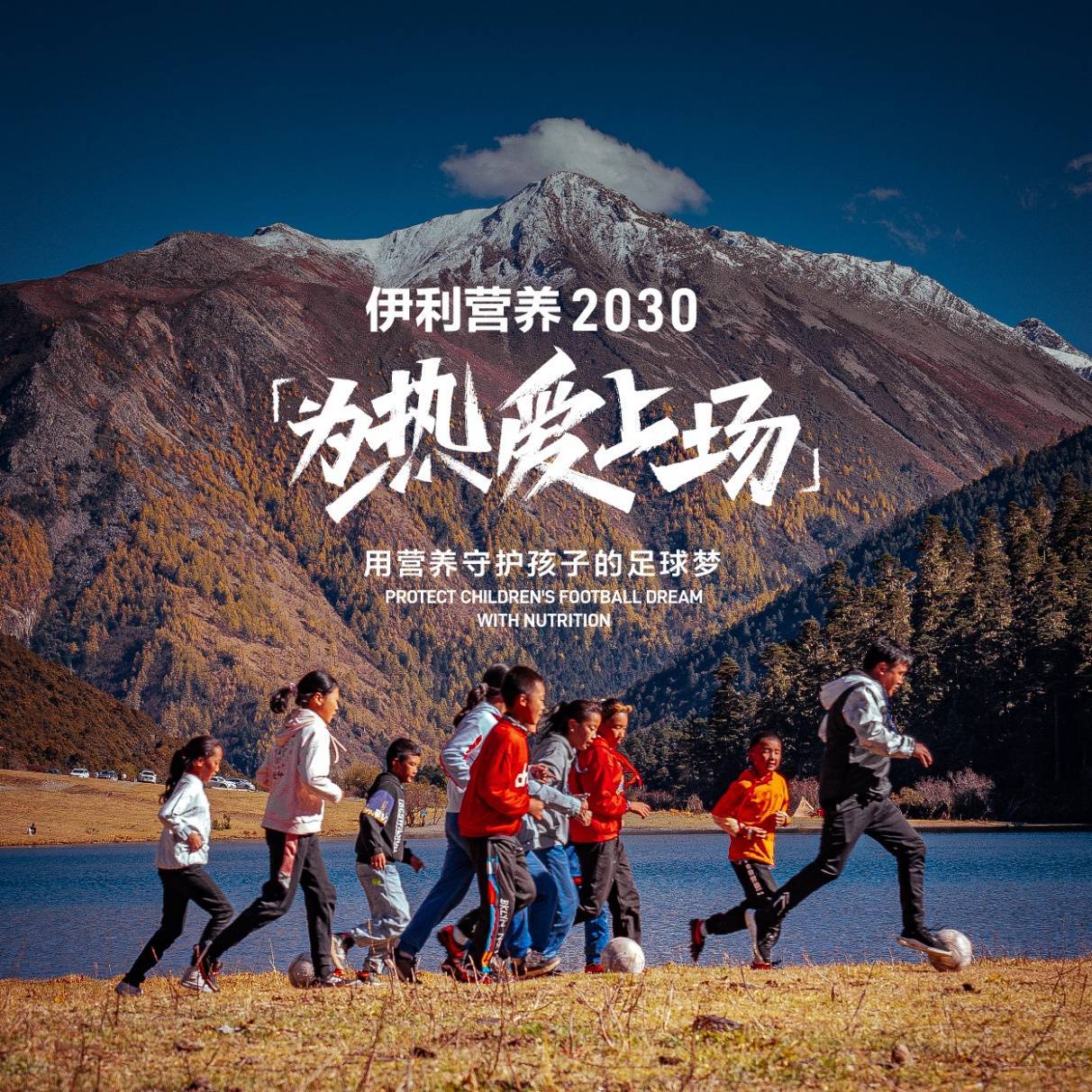 伊利为热爱绽放短片,伊利为奥运健儿加油