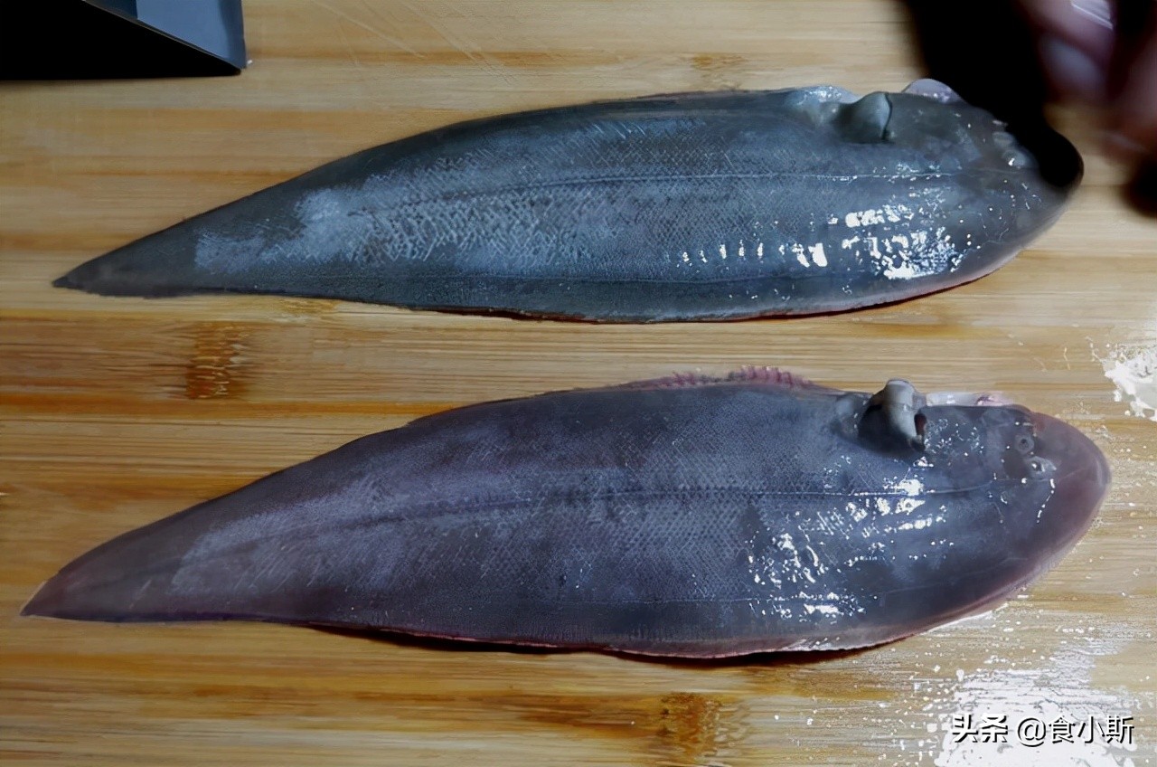 最好吃的100种鱼图片,好吃的六种鱼赶紧记下来