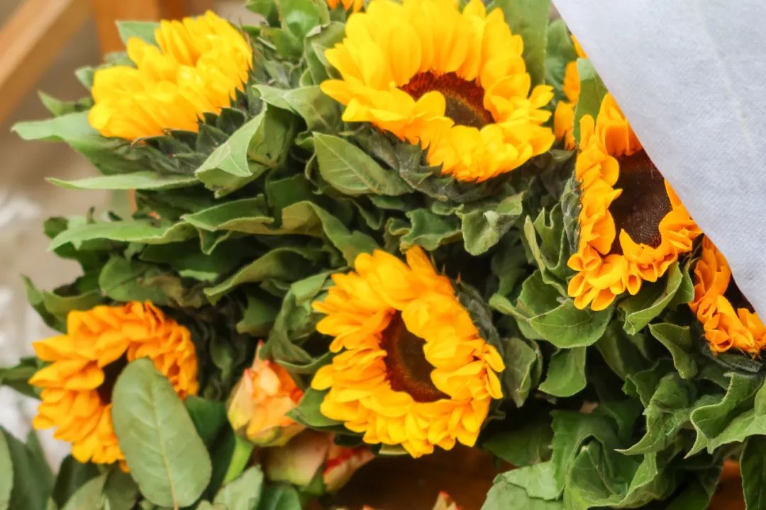 南湖行知丨引爆全场！当美食与体育邂逅，会擦出怎样的火花？