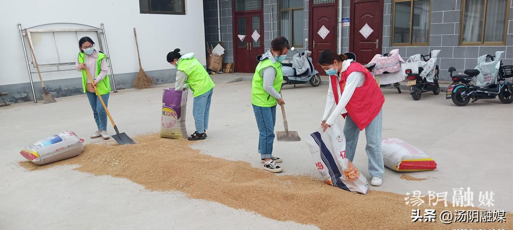 【汤阴民政：治理创新】社工暖人心协力助“三夏”