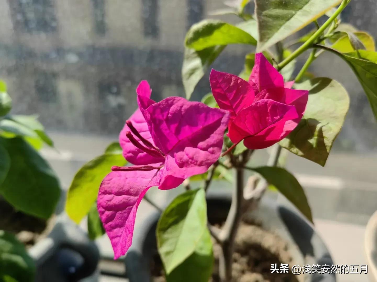 全职家庭主妇怎么攒私房钱,家庭主妇攒多少私房钱