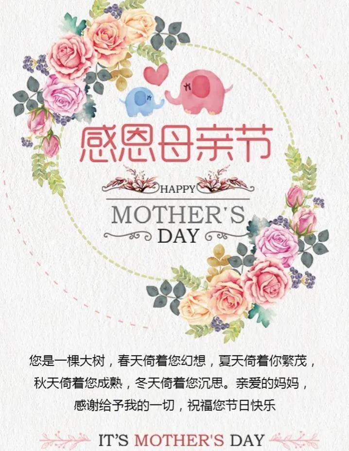 母亲节祝福语加图片素材,母亲节感恩母亲的图片文字