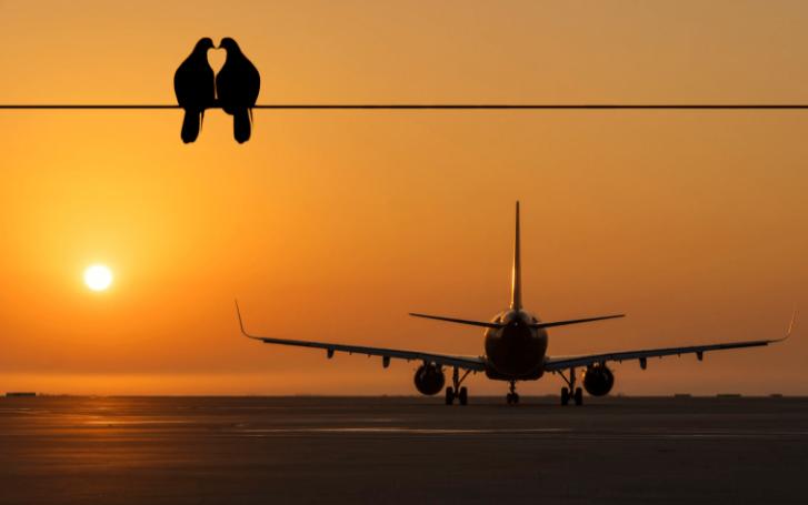 飞机上会提供哪些免费的东西,飞机上哪些东西是免费吃的