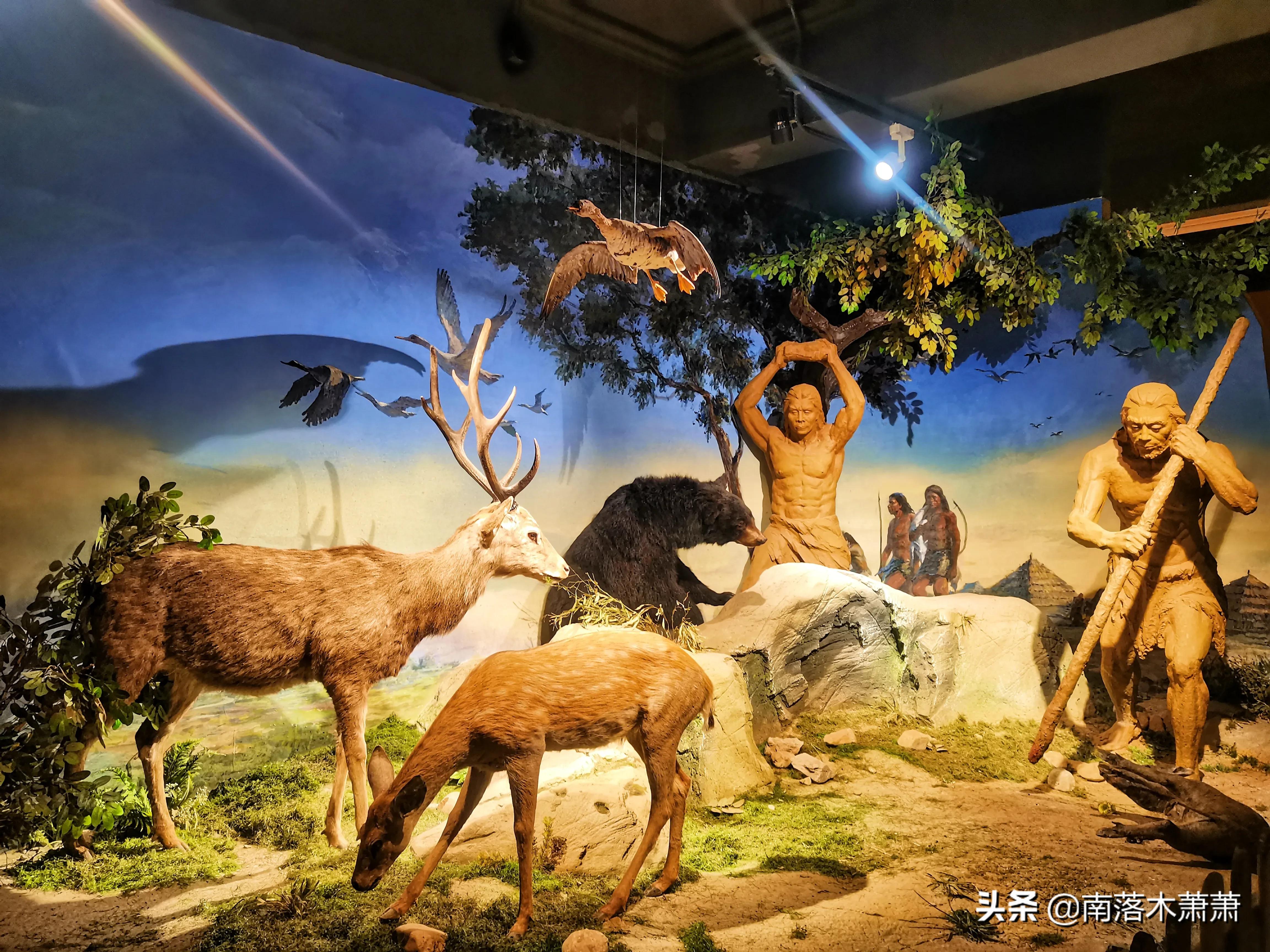 沈阳皇姑新乐遗址,参观沈阳新乐遗址博物馆