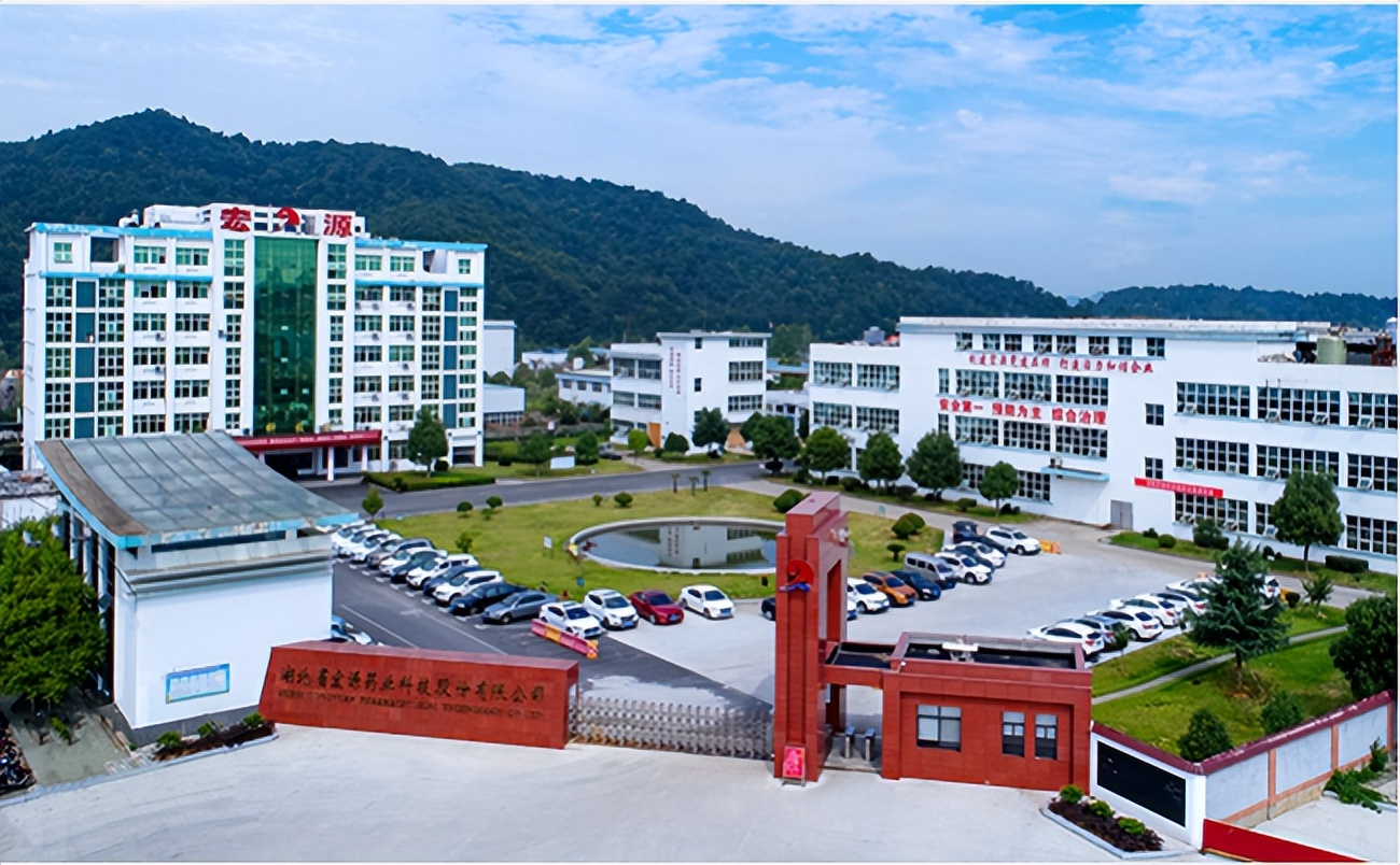 湖北省宏源药业科技股份有限公司,湖北省宏源药业有限公司