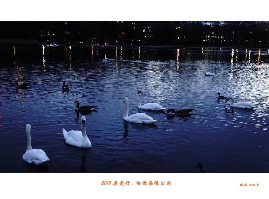 伦敦海德公园英国最大的皇家公园,浮光掠影免费阅读全文