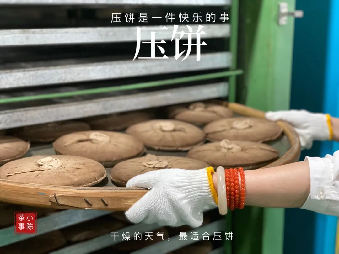 “南郭先生”、拉帮结派、化整为零，说说最近福鼎白茶的一些变化