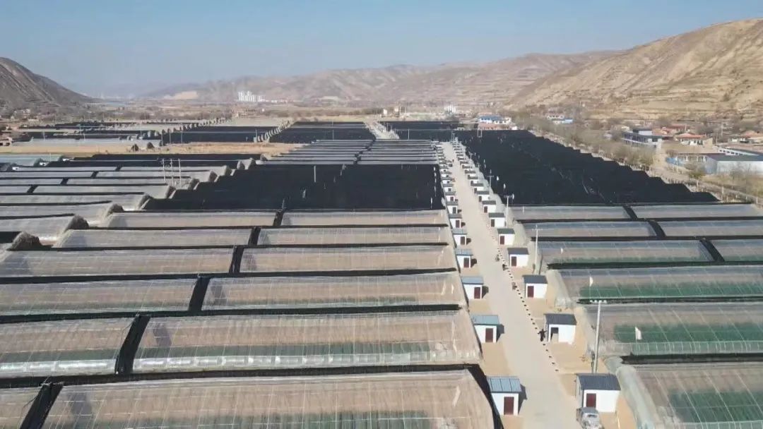 白银市现代高效循环农业示范园,白银市高效设施农业建设项目