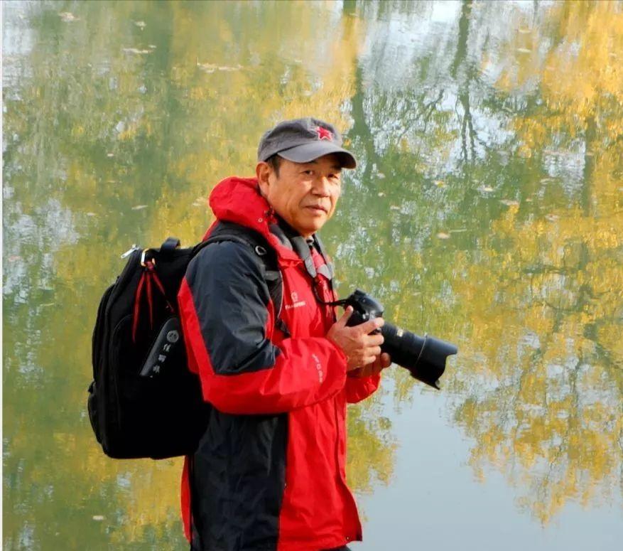 赞北京冬奥会闭幕式,赞北京冬奥会的句子