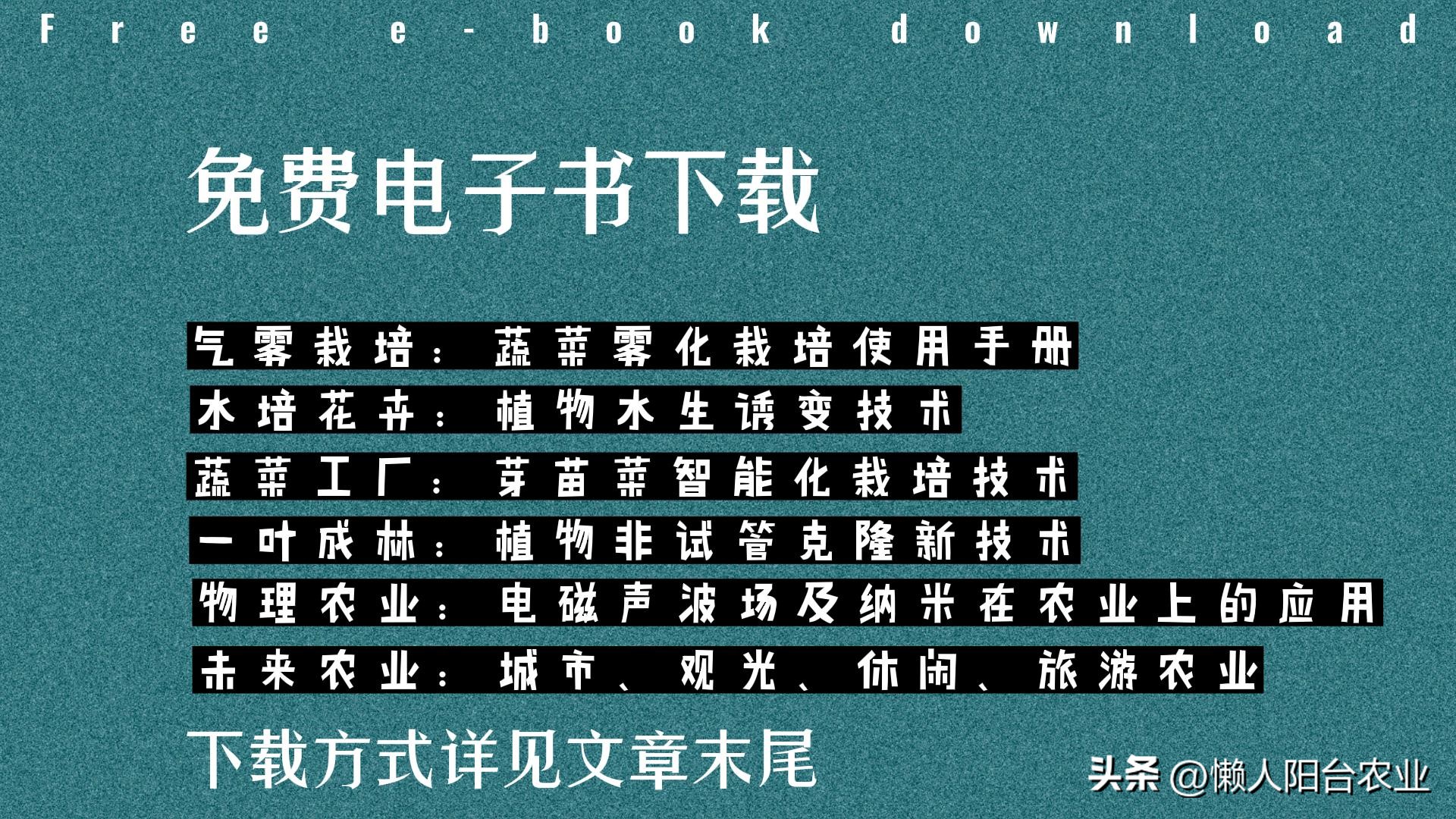 室外阳台种植规划,发展阳台种菜项目
