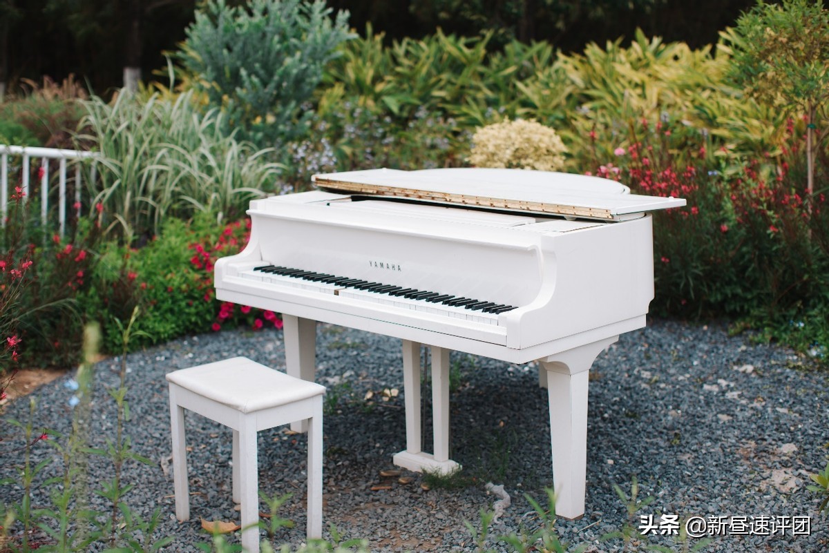 佳能ef501.8stm近摄评测,佳能ef500f4.5镜头还值得买吗