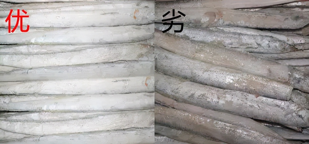 买海鲜应该怎么去买,如何挑选海鲜才是正确的