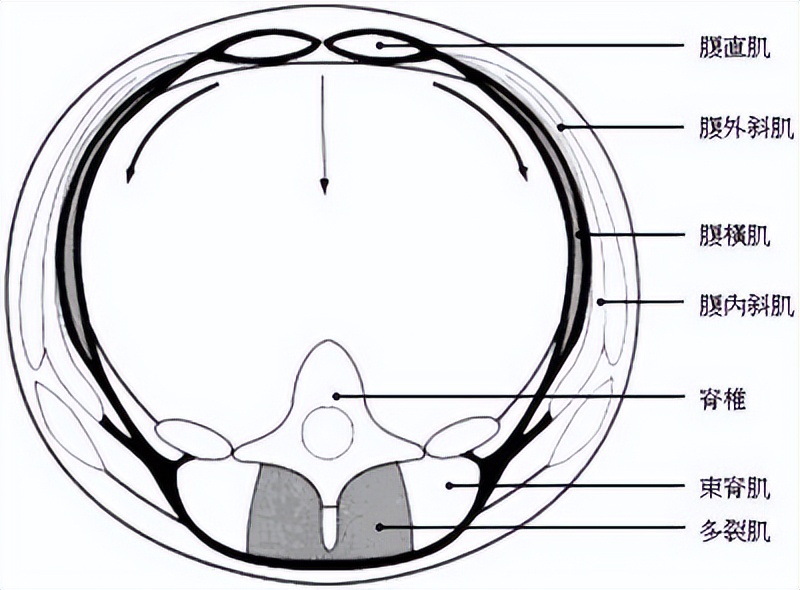 辟谣：腰疼躺躺就好了？专业物理治疗师建议：不信谣，别“躺平”
