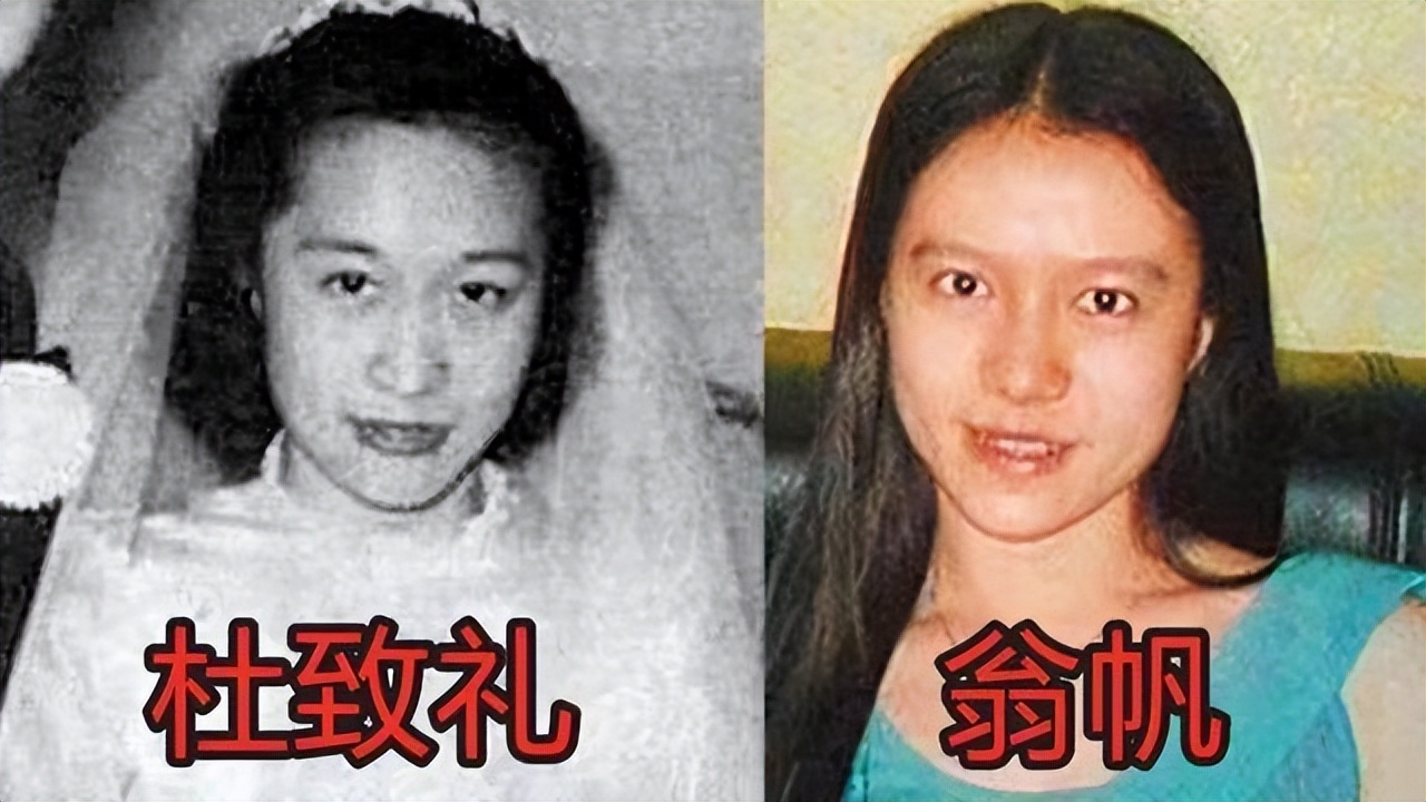 97岁杨振宁与43岁翁帆近照曝光,102岁杨振宁财产多少