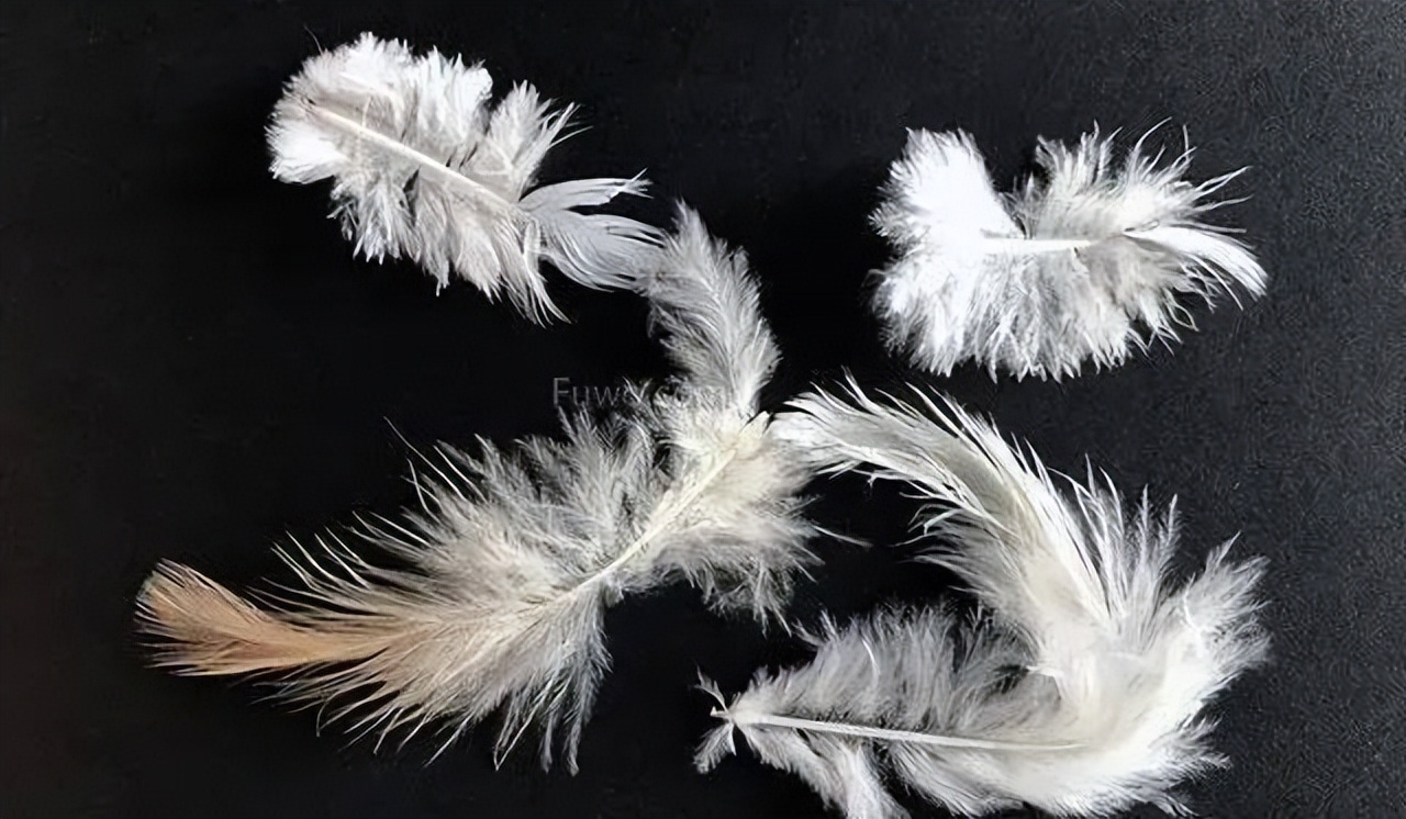 雅兰寝饰酒店用品在淘宝有吗,雅兰寝饰用品