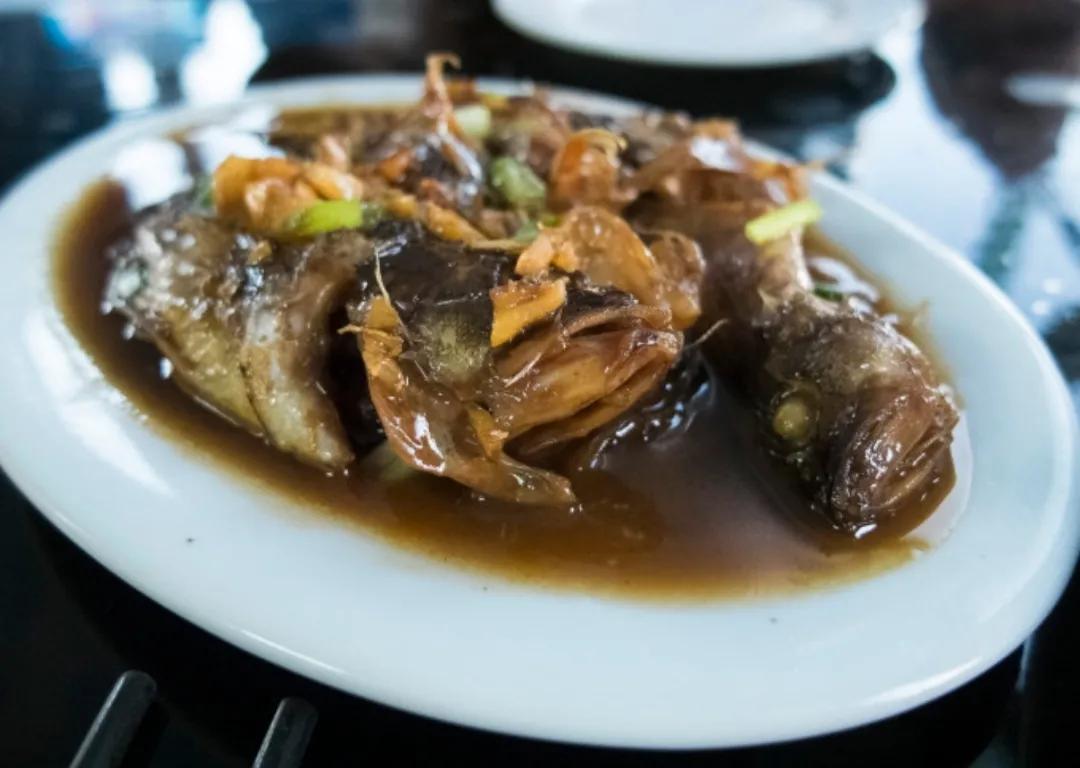 枸杞岛亲子游攻略 (枸杞岛自驾游攻略)