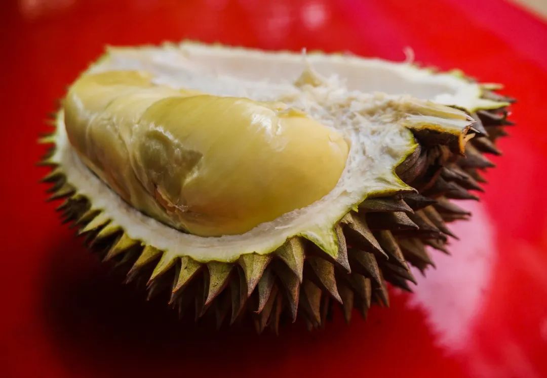 五一后或能实现榴莲自由,五一后或实现“榴莲自由”