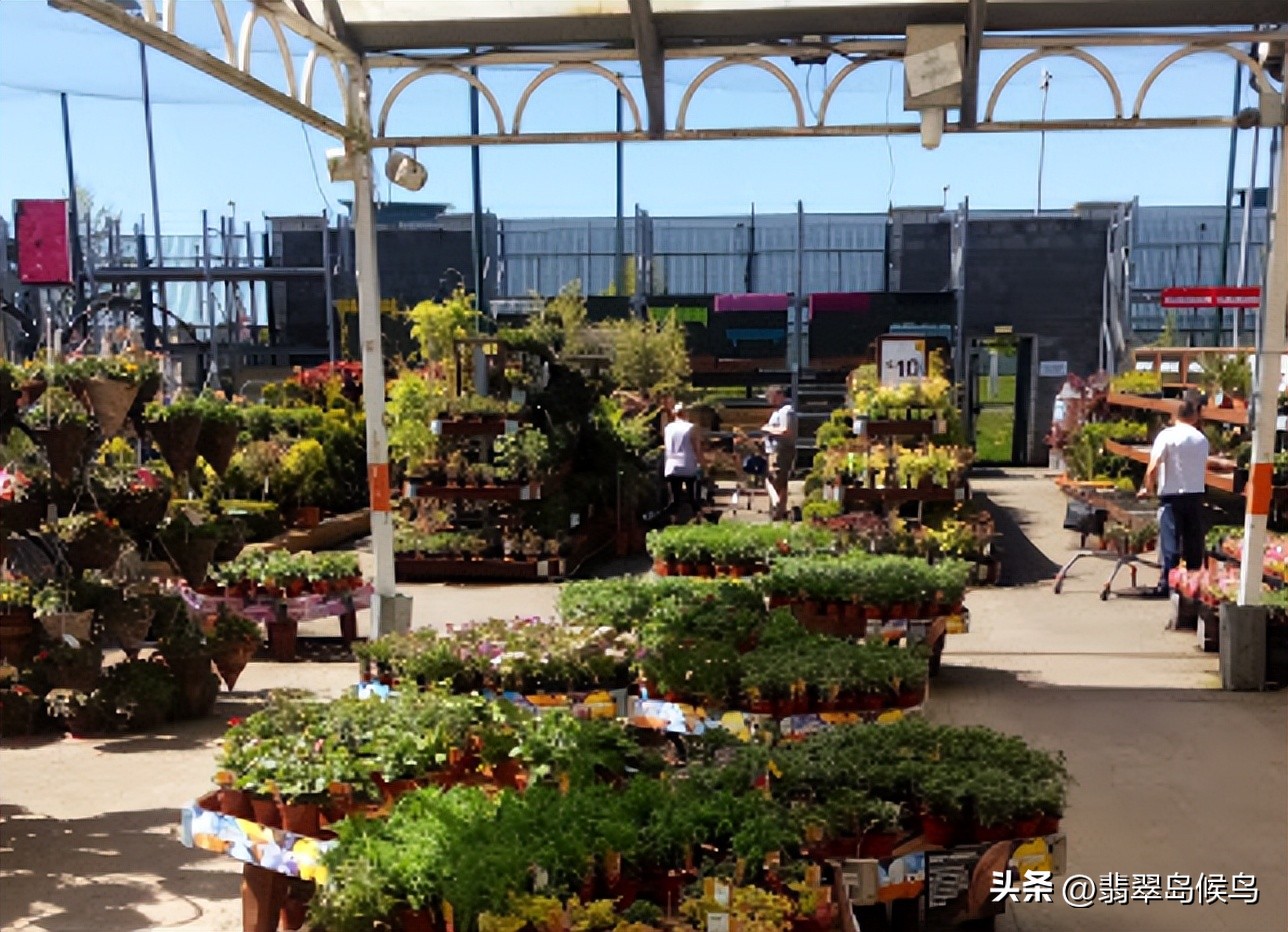 国外生活初体验——买衣服