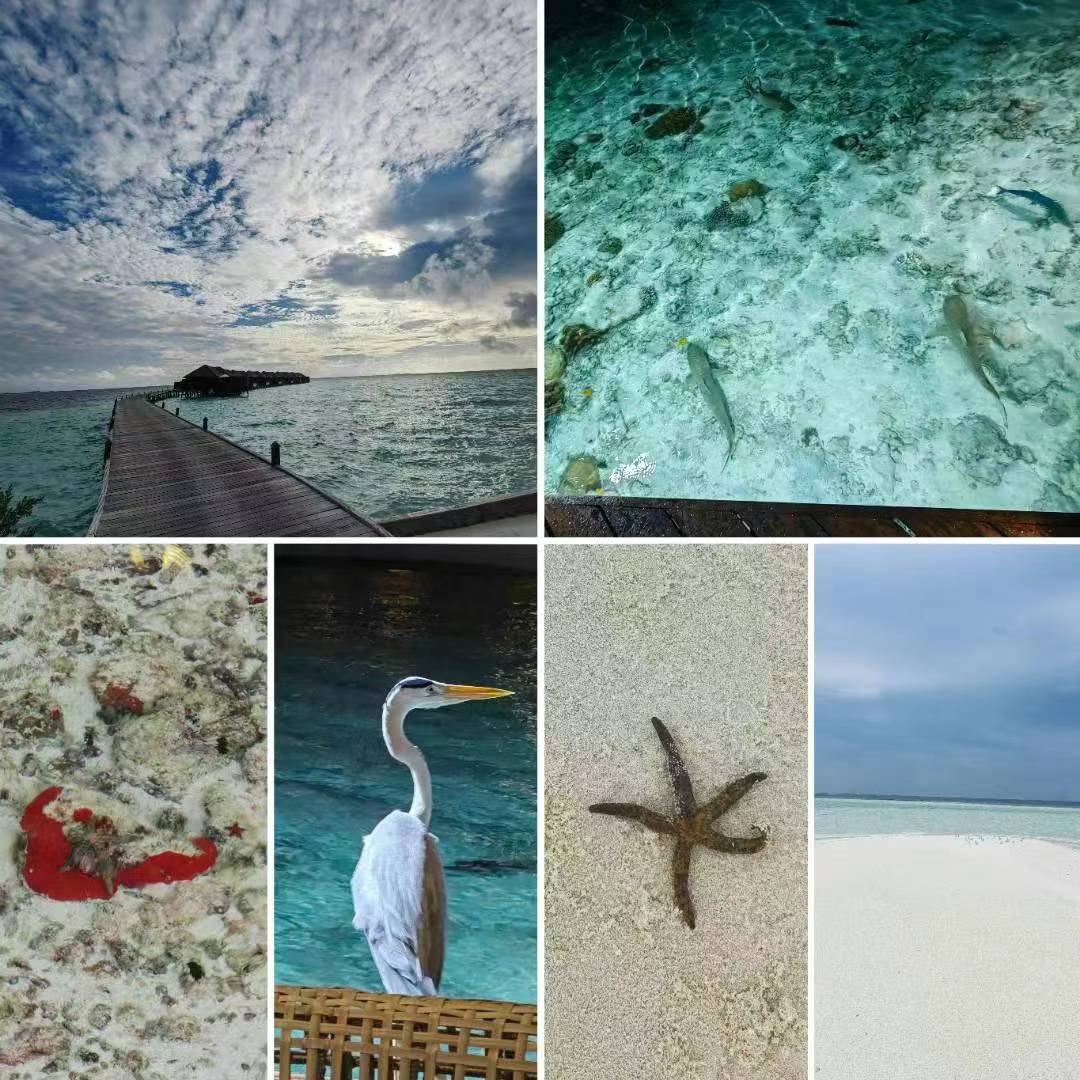 马尔代夫游记珊瑚岛蜜月,探寻马尔代夫蜜月岛的绝美景点