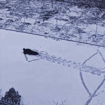 我真的很好奇男生版,我真的很好奇原版视频