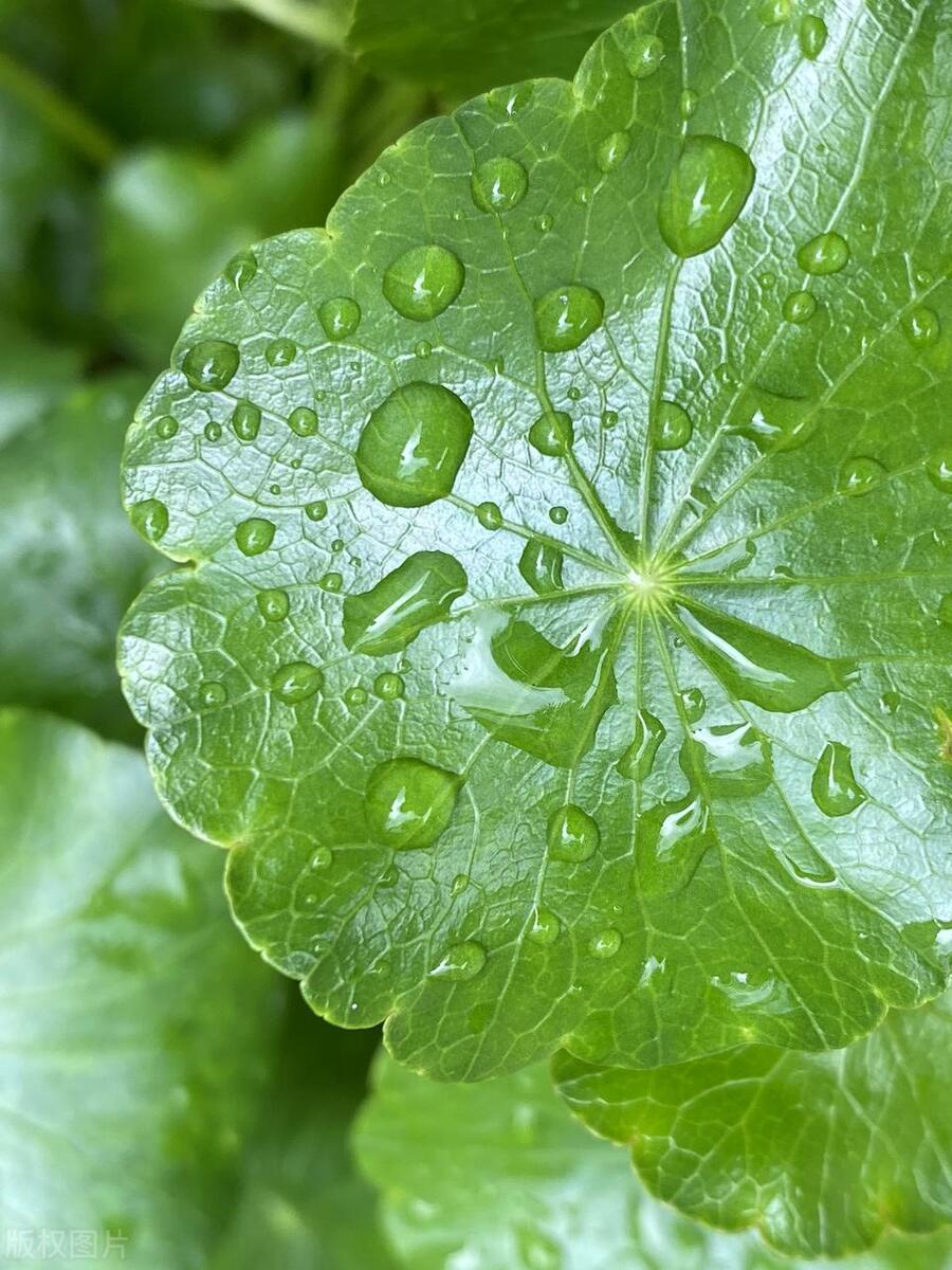 拯救痘痘烂脸这个小窍门你知道吗,怎样才可以告别痘痘肌