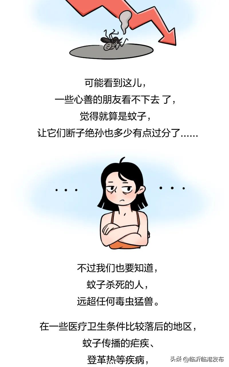 蚊子太毒怎么处理,彻底绝杀蚊子的妙招