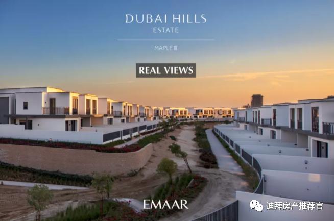 怎样能培养出一个谷爱凌,如何成为谷爱凌那样的人