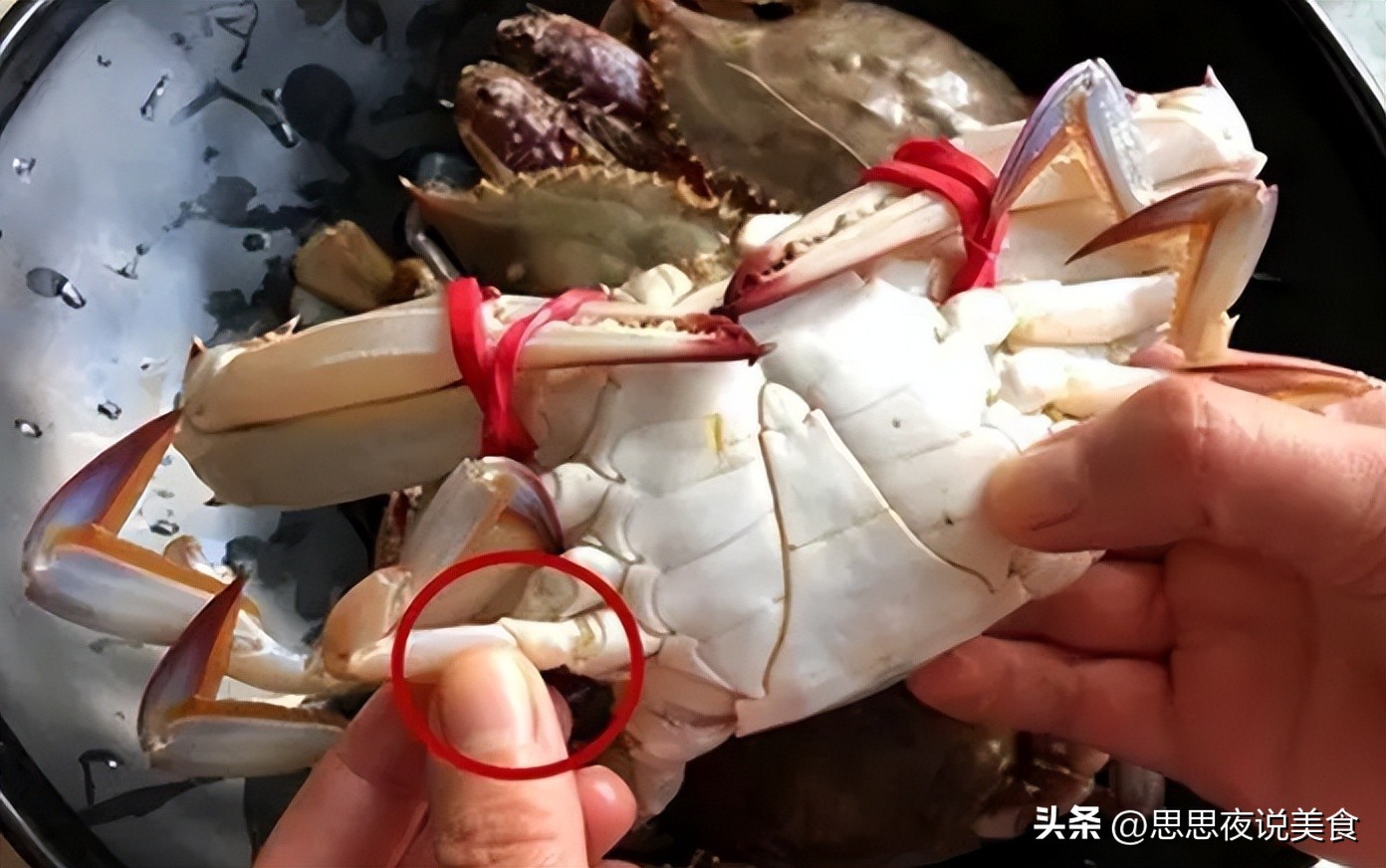 蒸螃蟹的正确方法凉水还是开水蒸,蒸螃蟹的技巧蒸几分钟