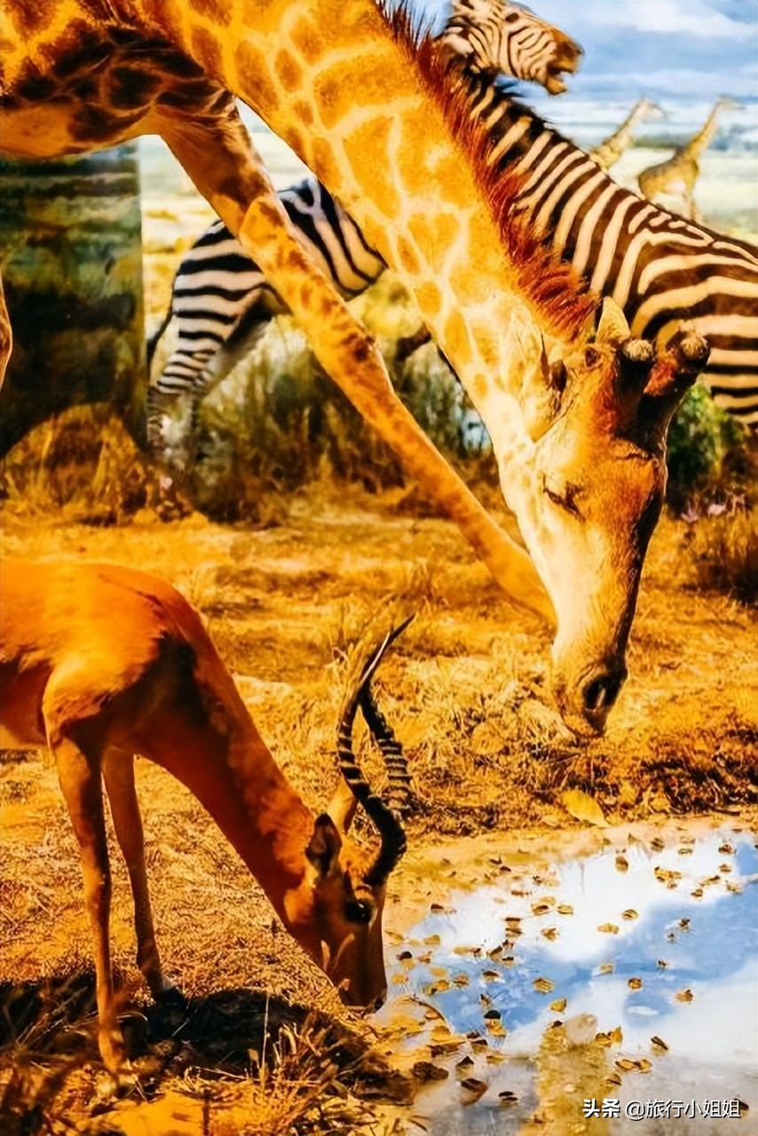 夏日海边浪漫迷人,滨城风光秀丽浪漫气息爆表