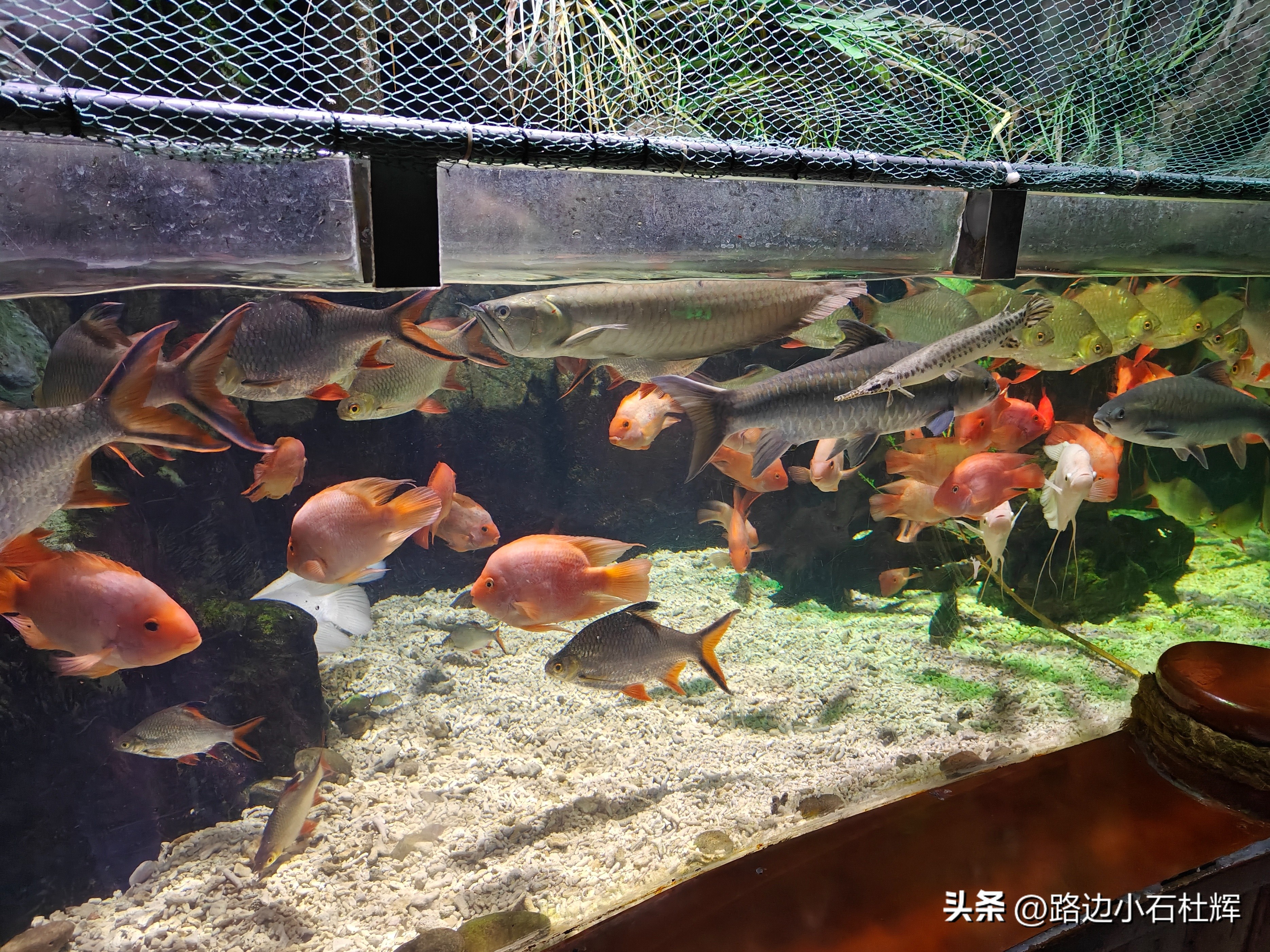 游游人间,游旅人间