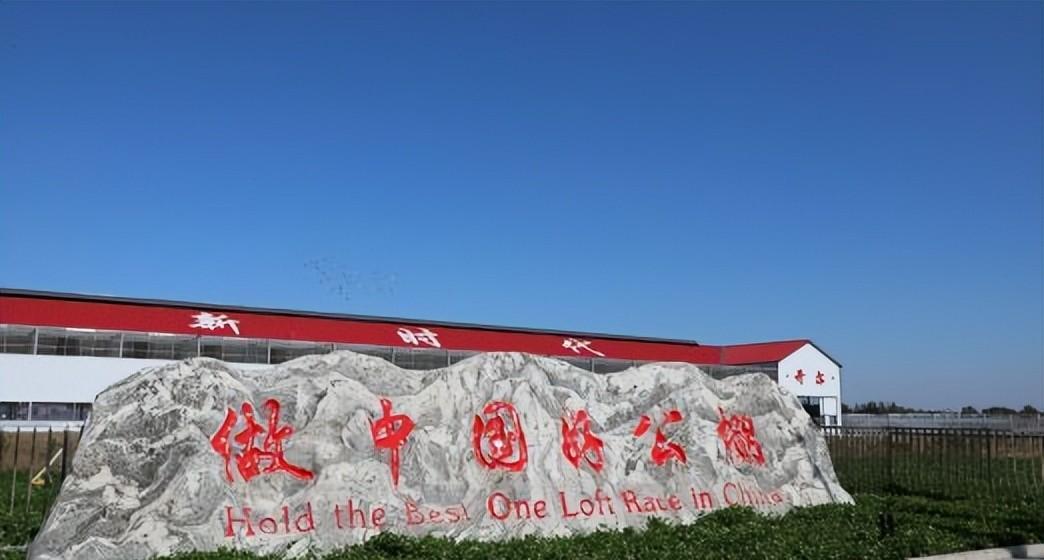 开尔国际赛鸽爱心公棚2020赛事,开尔公棚2020比赛成绩单