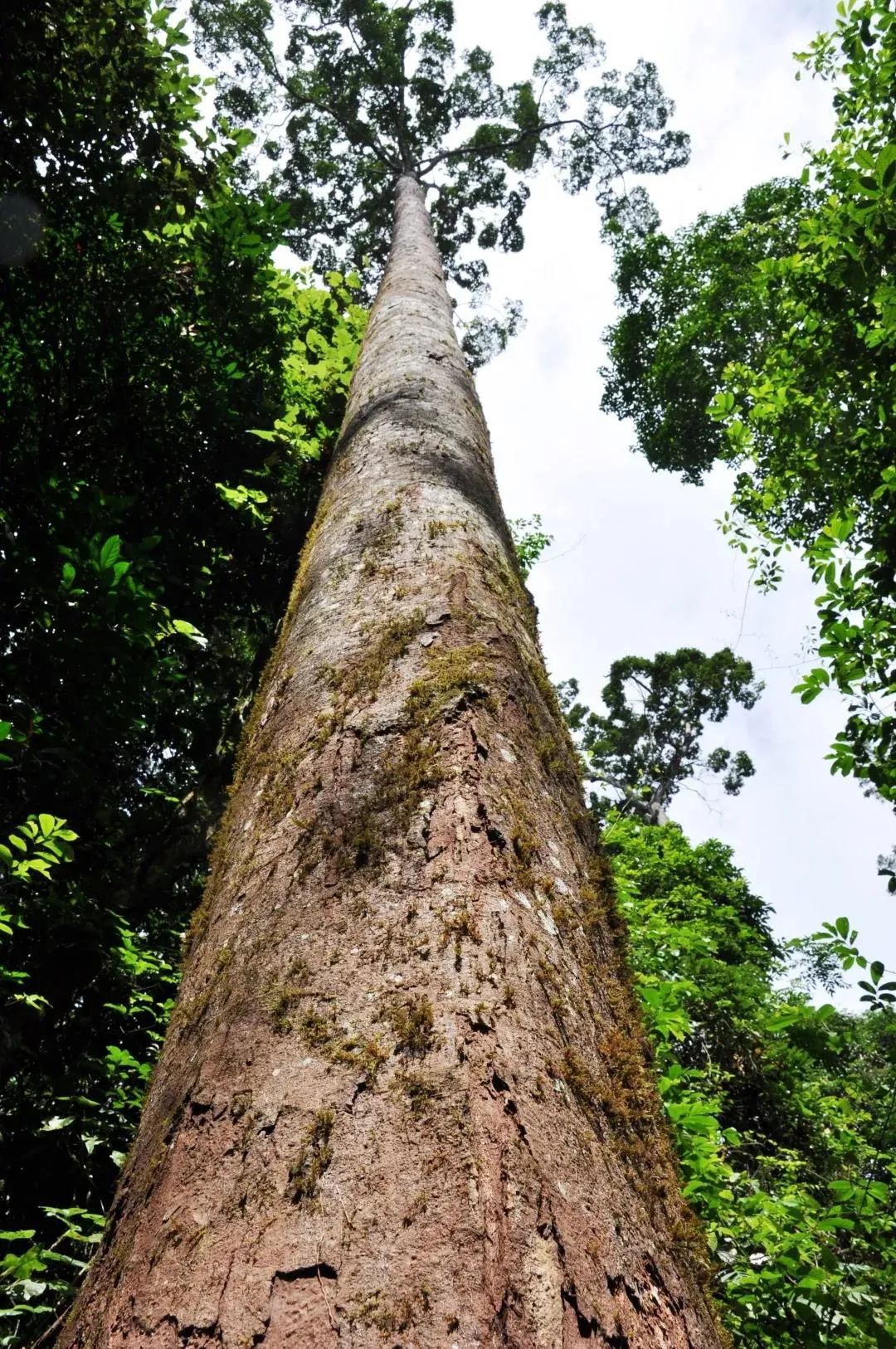 昆明七彩云南怎么样,七彩云南避暑家园