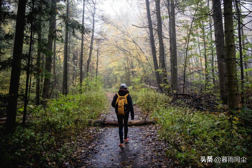 野外遇到暴雨应对方法,户外下雨技巧