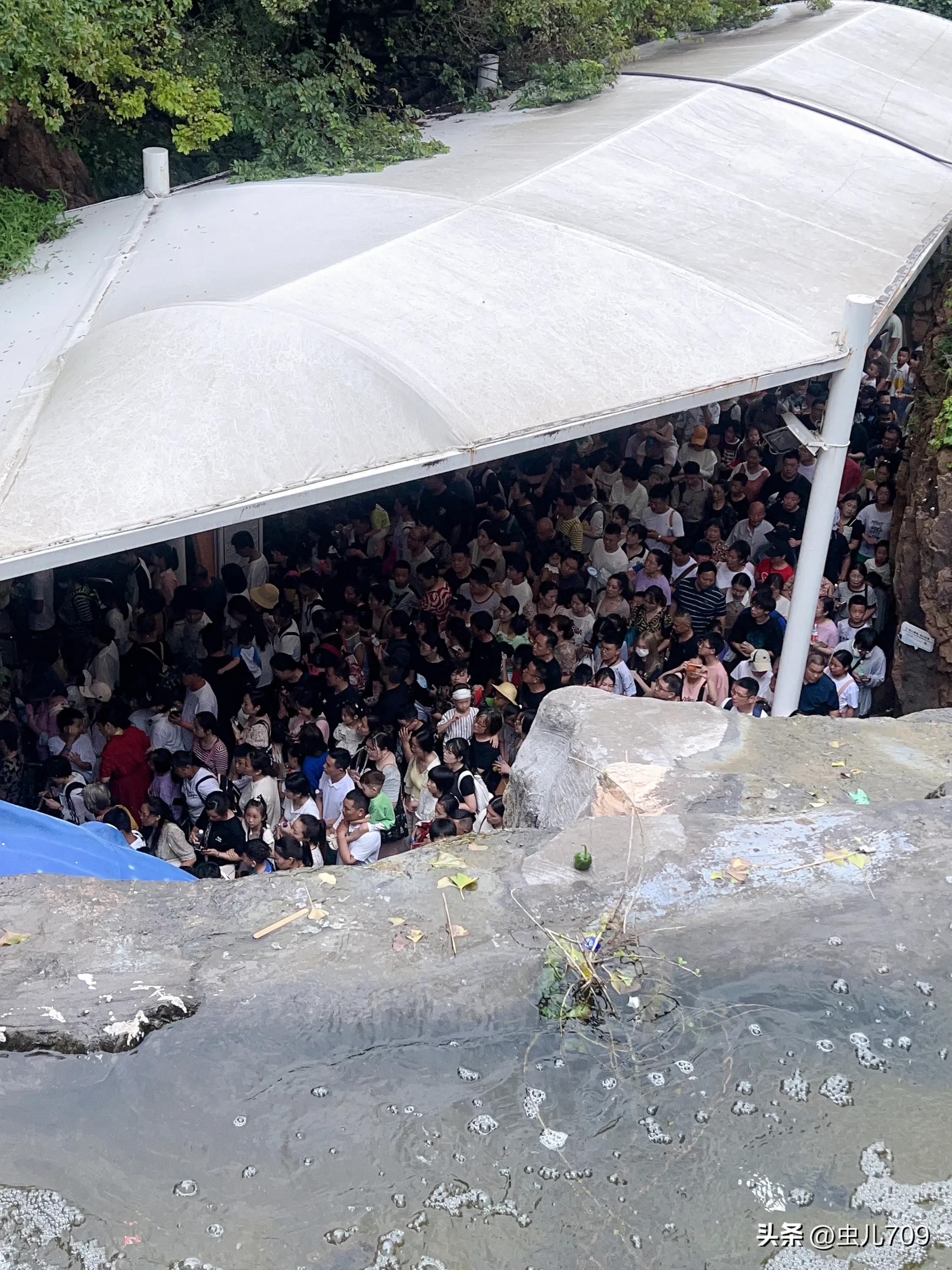 青岛海底世界视频,青岛海底世界和极地海洋世界