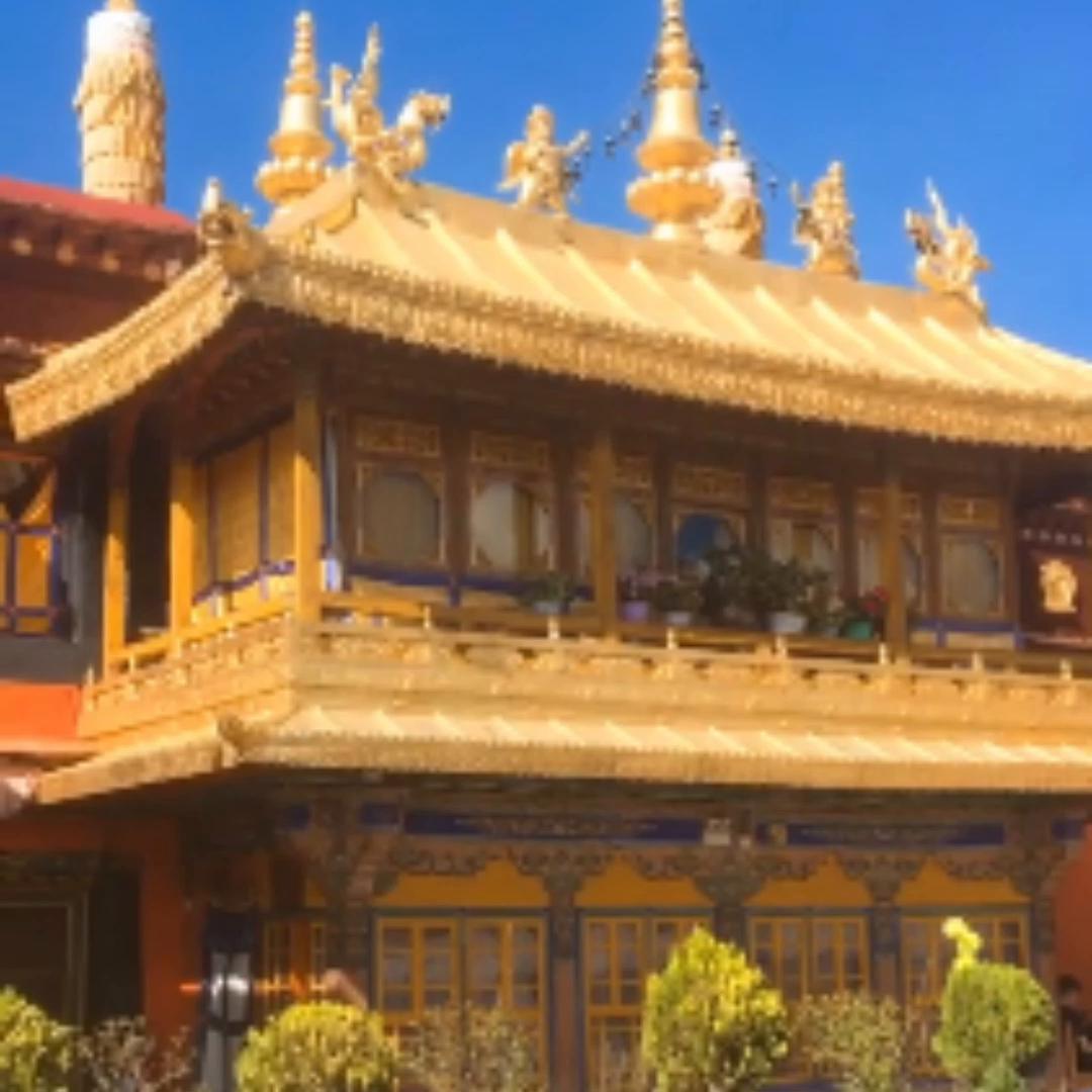 律师在一项委托事务中有损委托*权人**益时委托人可否解除其他...