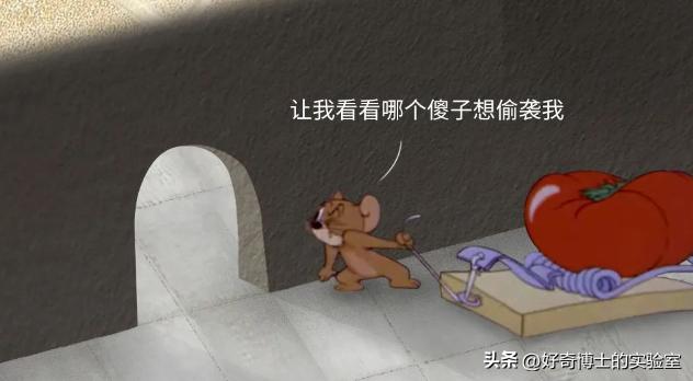 《猫和老鼠》其实不是儿童动画片而是成人片