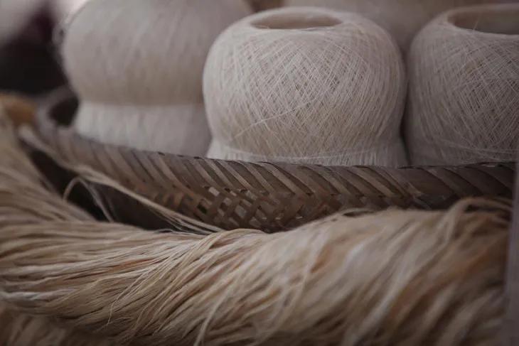 亩利润2万的种植项目,农村种植3亩地一年的利润