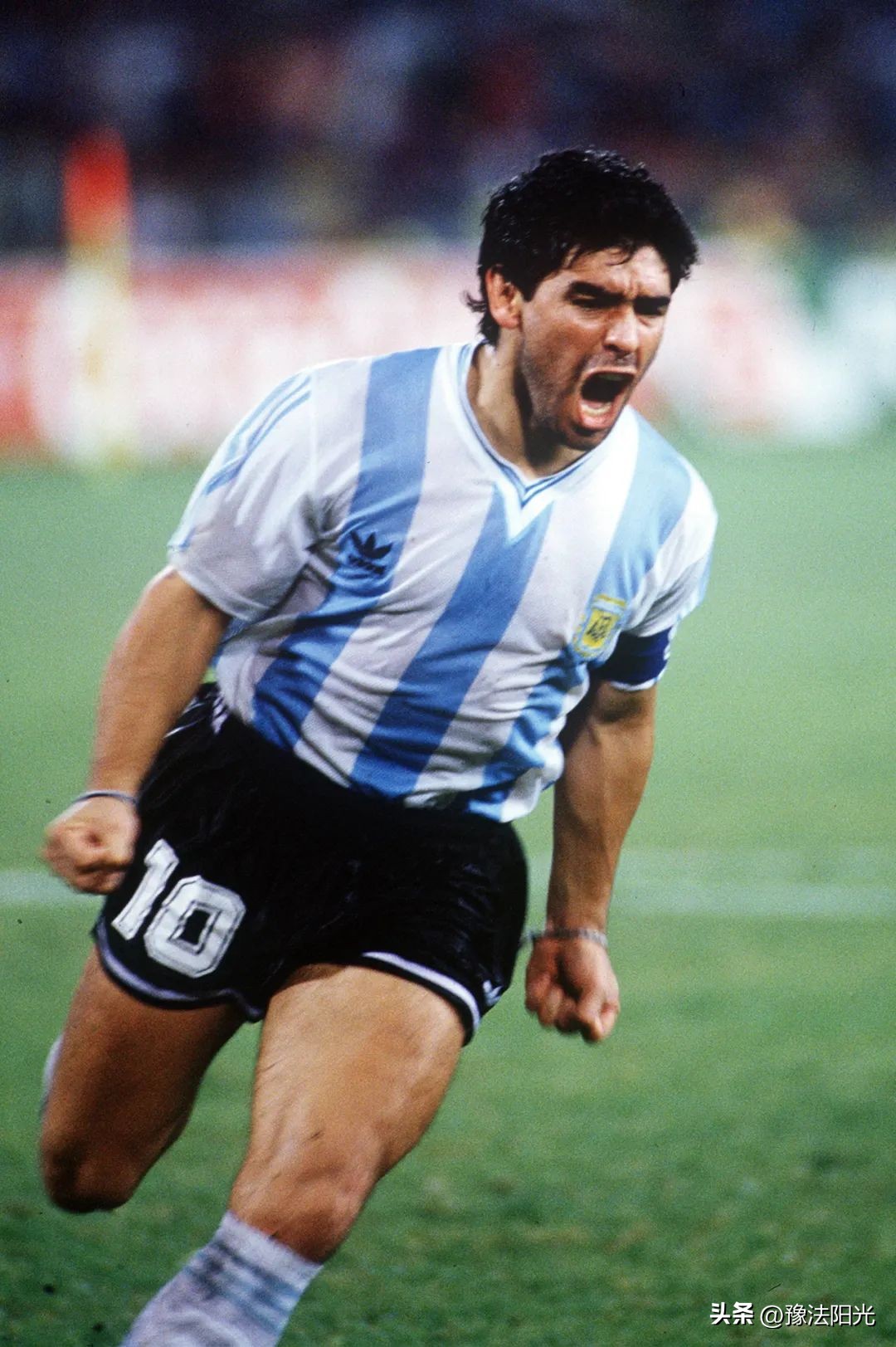 足球告诉我们什么,从足球中告诉我们的道理