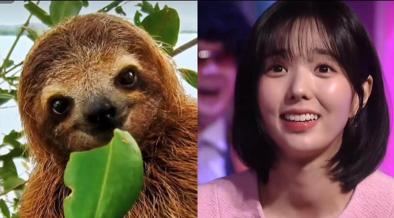 韩国逆贼小品中的舞蹈,韩国小品逆贼