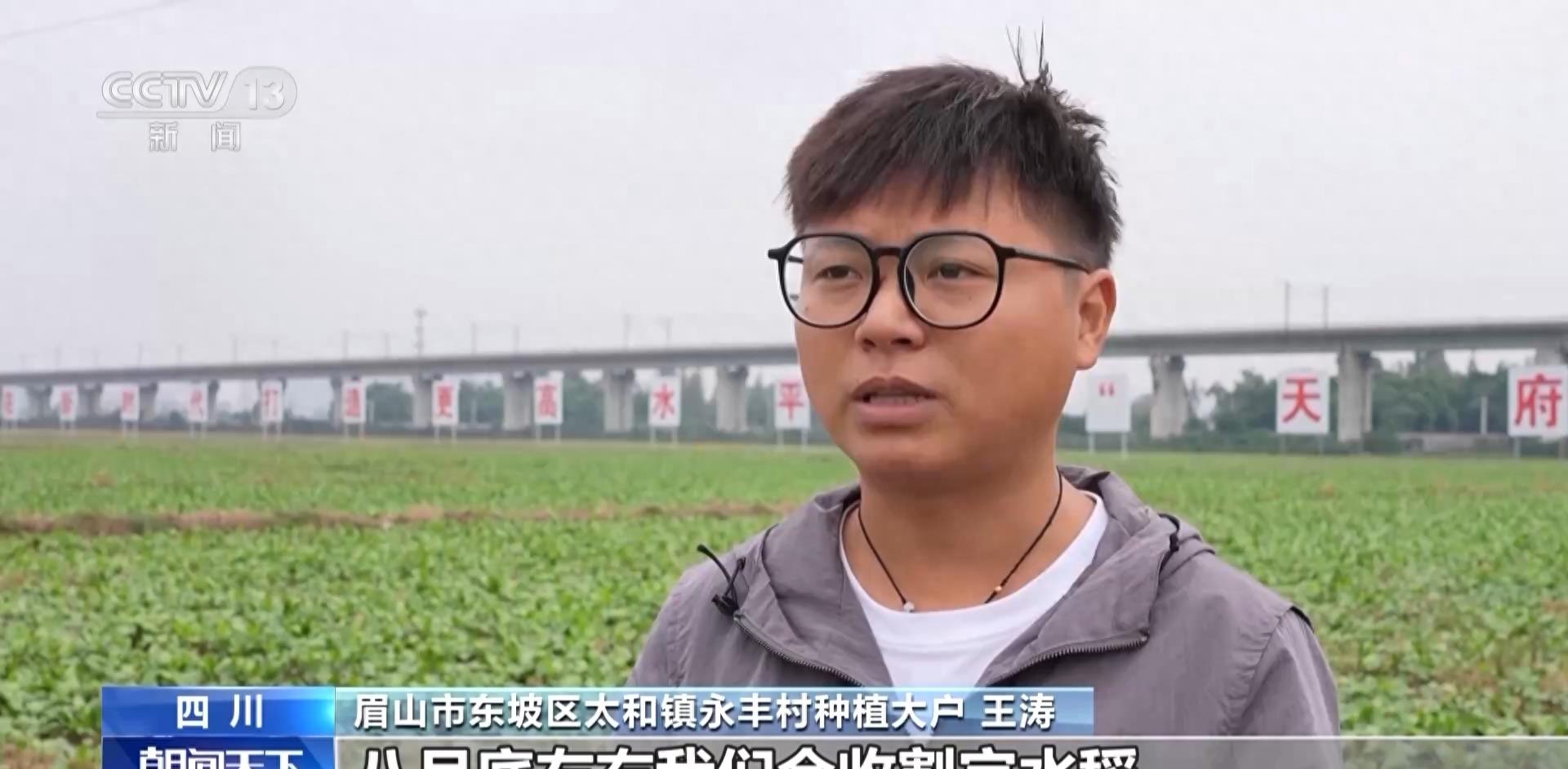 涓涓细流浩瀚江河原声,涓涓细流浩瀚江河解释