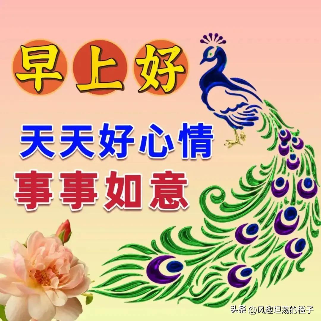 简短早上好的问候美句大全,最新早上好的问候美句简短