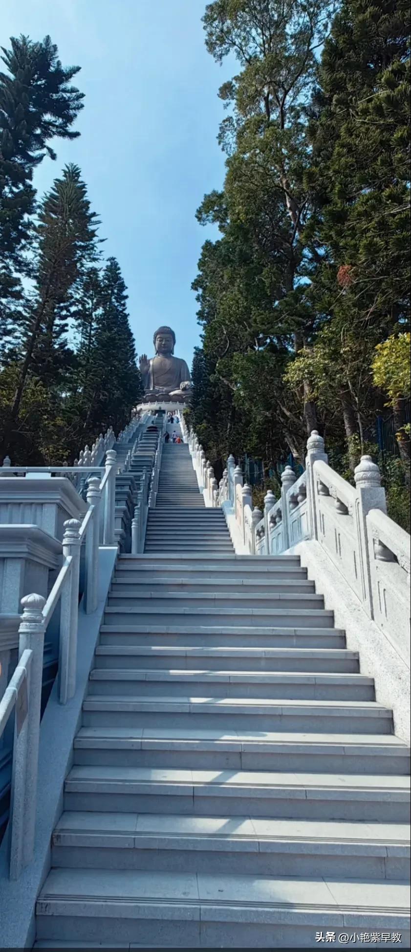 香港游靠谱旅行社,香港游港珠澳大桥