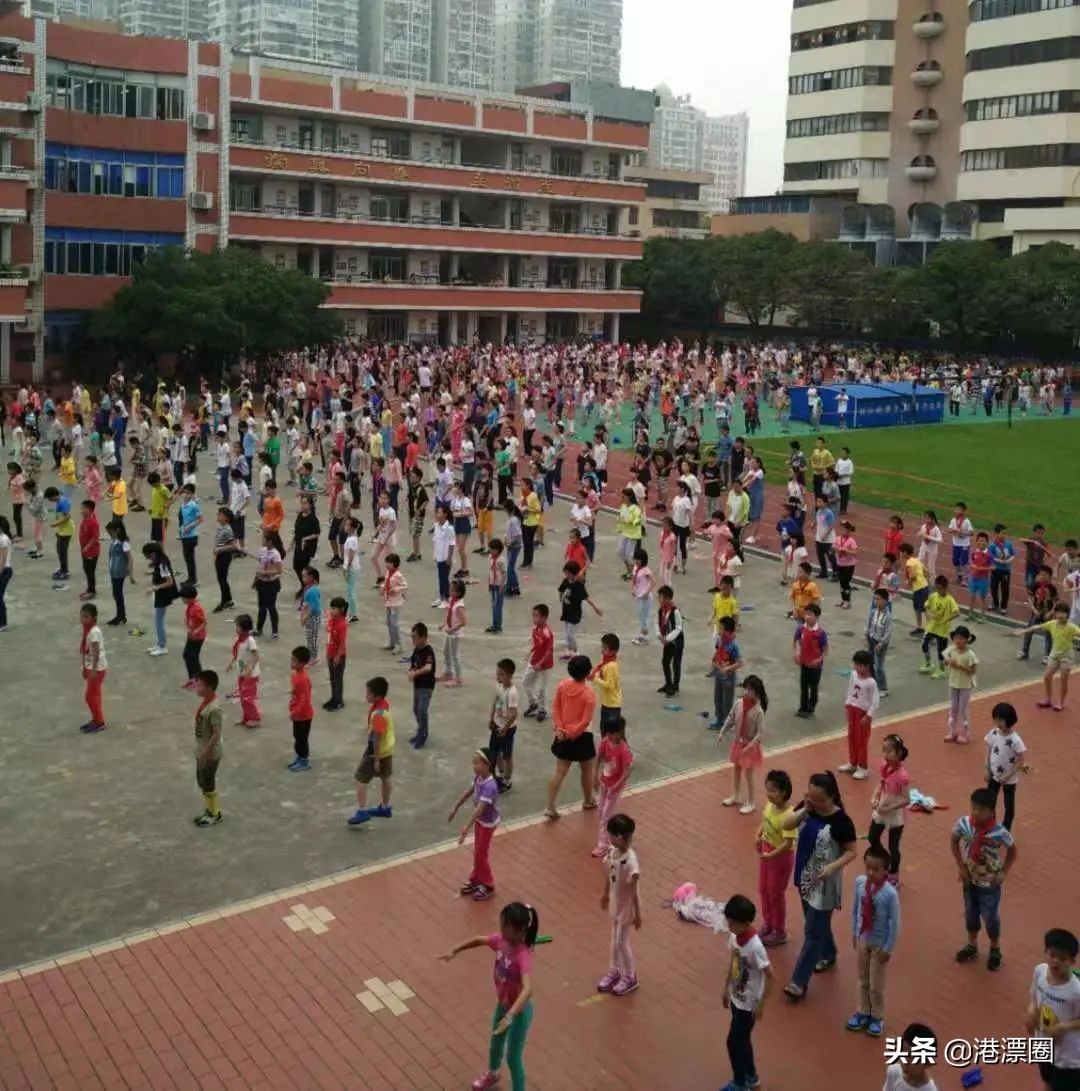 大陆小学生转学去香港需要什么,内地转学香港读小学