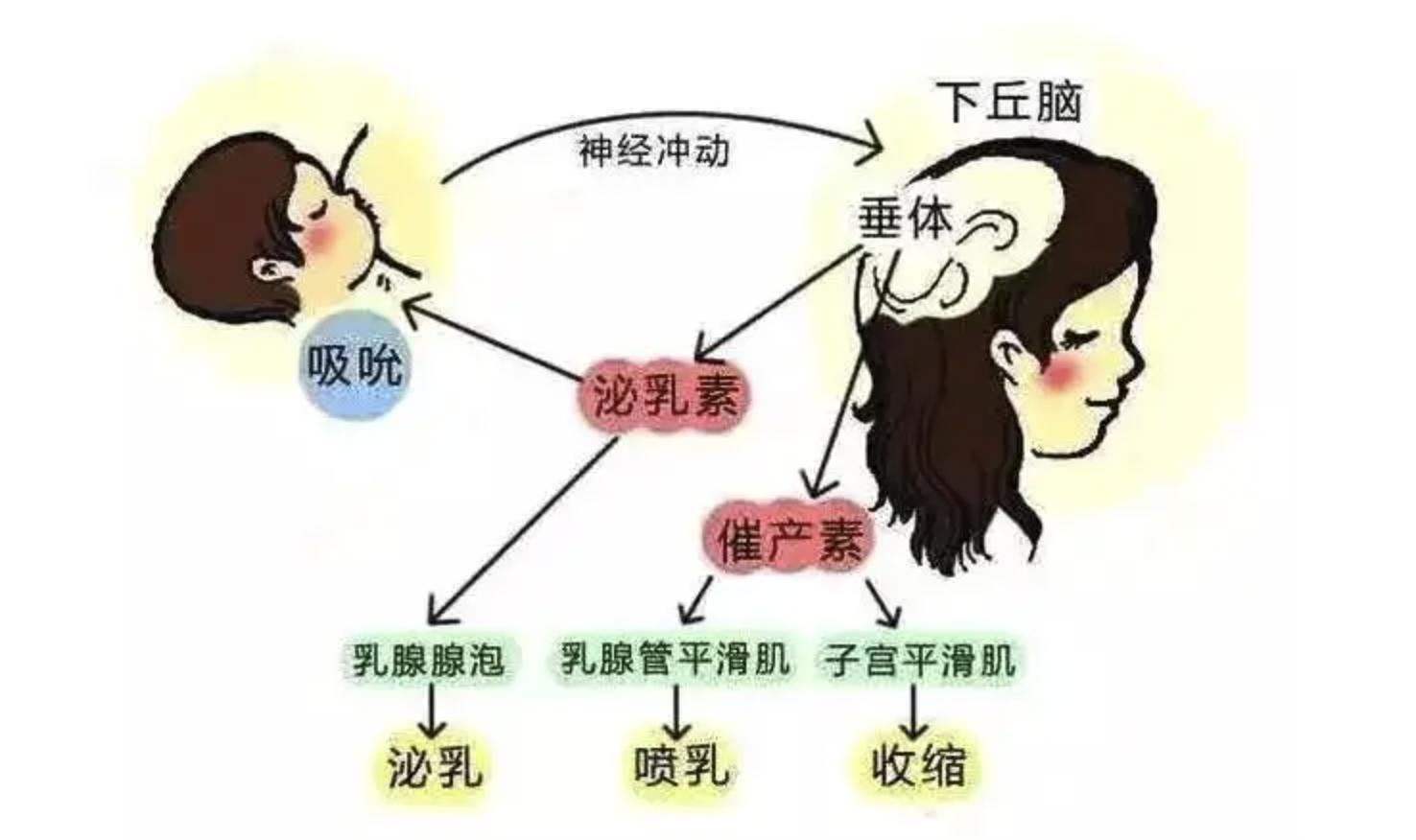 月子米酒下奶好吗,米酒坐月子用的能下奶吗