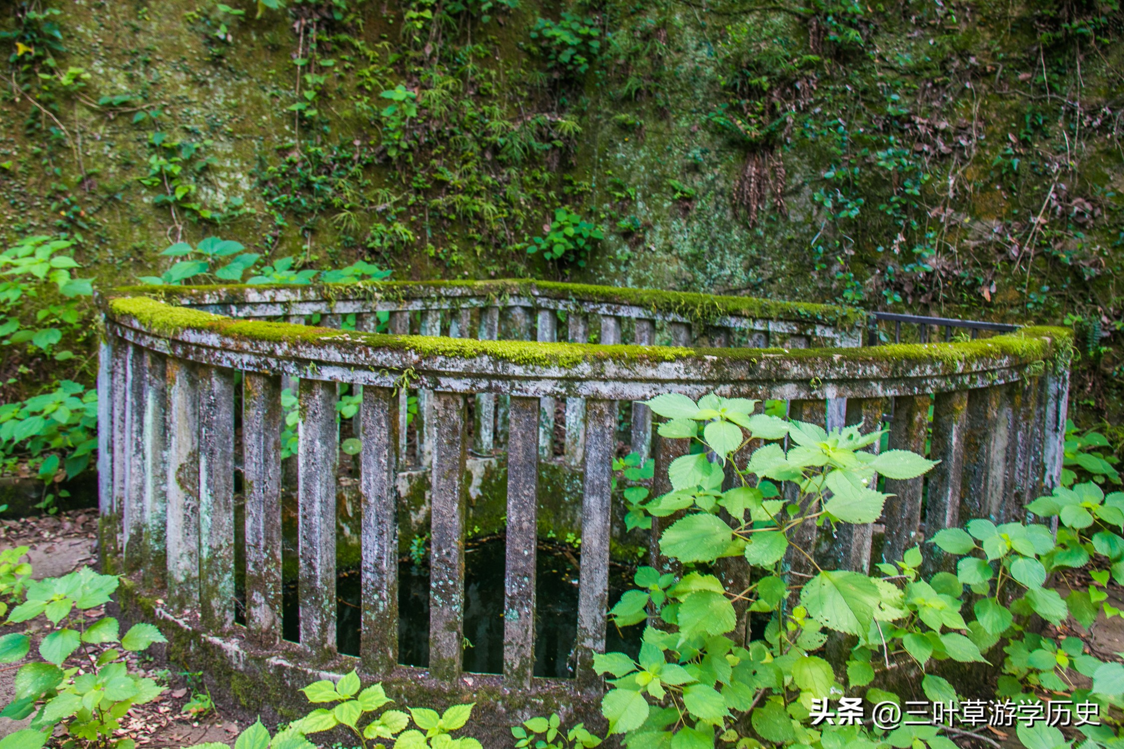 杭州西湖穗庐地址,杭州西湖湖景庭院