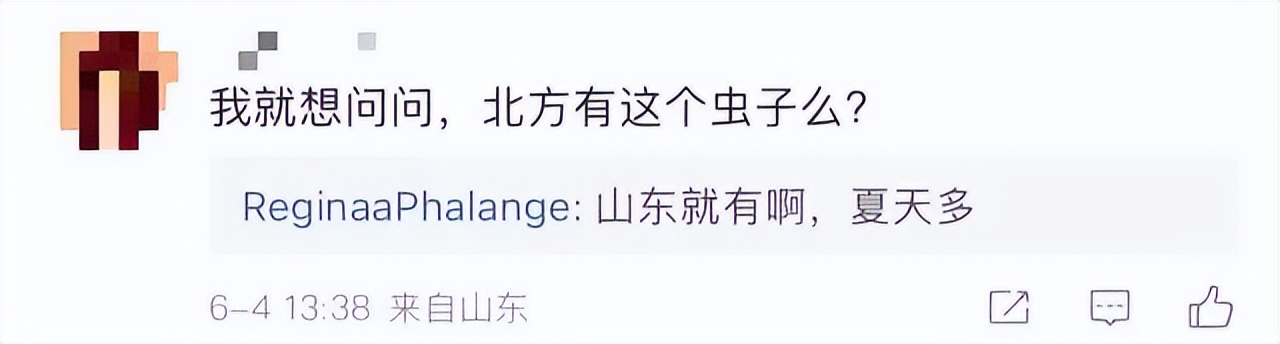 “我的脸被它毁容了…”毒液堪比硫酸！西安也有！