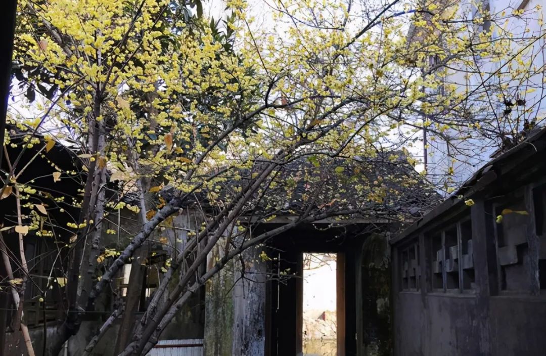 无锡惠山古镇风景,无锡七大古镇哪个好玩