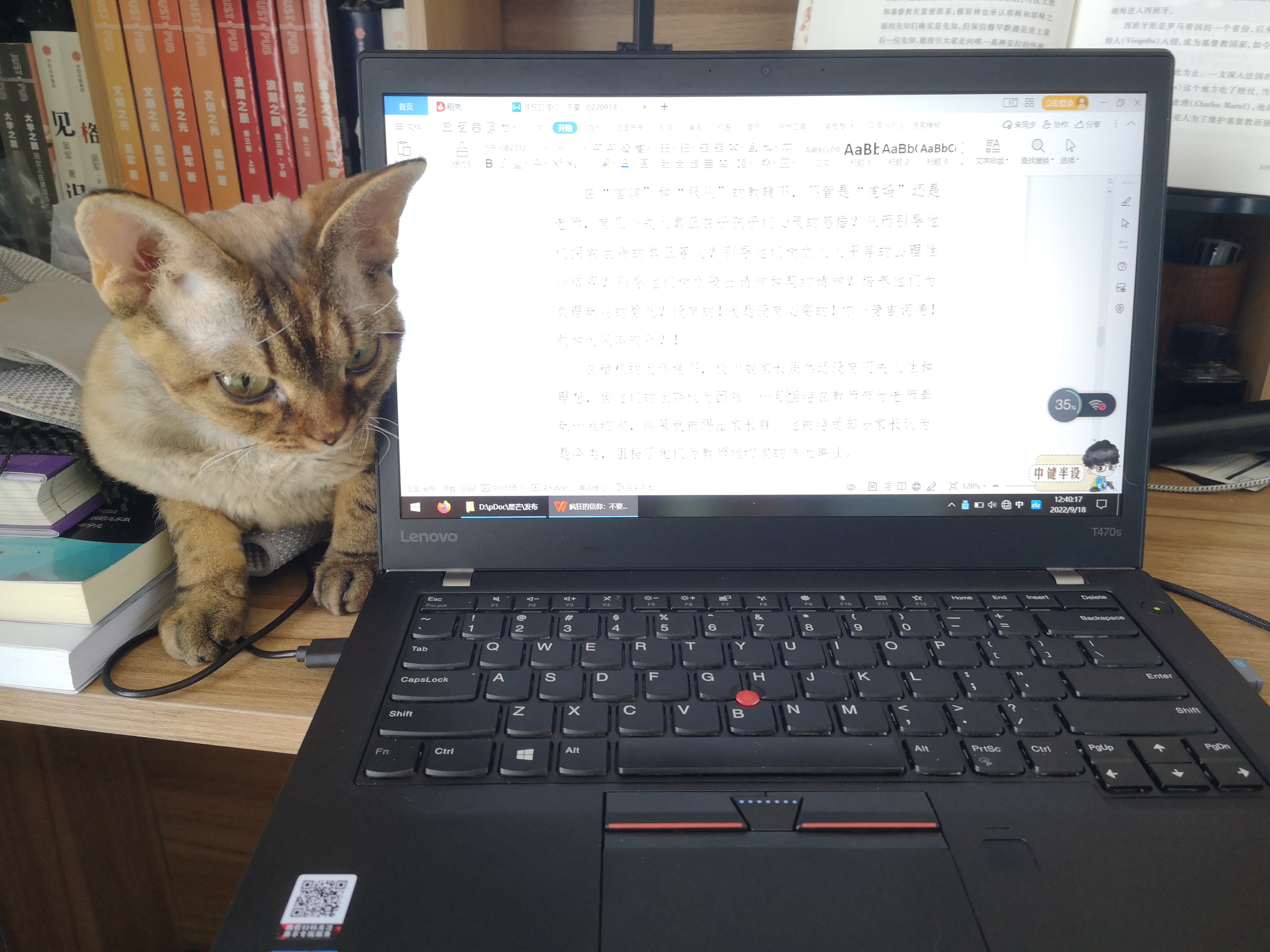 一只活得让人羡慕的猫,德文猫养育一只黄猫